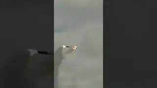 Запуск ракеты БРПК «Бастион» 🇷🇺