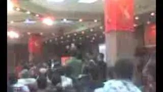 عامر حليحل