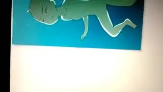 How ms.sans draws XD