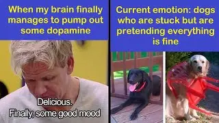 Existential Memes That Might Have You Saying ‘Too Real’ Under Your Breath | Happy And Fun