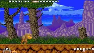 MAMECADE 12: Toki Arcade Game