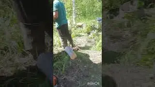 Насякомые ёпть 😂#геологоразведка #золото #мтлб #разведка #буровая
