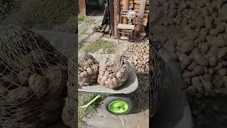 деревня