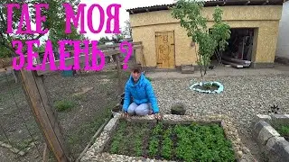 ВЛОГ: ДУМАЛА ОН ВСЁ СЬЕЛ ! ПРИГОТОВИЛА БОРЩ \ НАКРУТИЛА МЯСО \ ПОКУПКИ ДЛЯ БАНИ \ ДИАНА И РУШАН