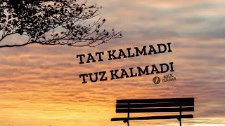 TAT KALMADI, TUZ KALMADI -Şiir ve Yorum: Halil Dülgar