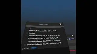 Export and Import in Tranzient