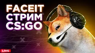 СТРИМ КС ГО/СТРИМ ПО КС ГО/ CТРИМ CS:GO, STREAM CSGO .ОТ 1 СИЛЬВЕРА ДО ГЛОБАЛА/ FACEIT ФЕЙСИТ