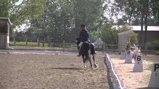 Natty Gann Training Level Test 2 August 29, 2015