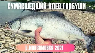 Сумасшедшая рыбалка на реке Максимовка Тернейский район 2021 год. 👍