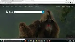 Bypass Login Portal Wifi
