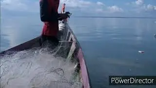 Menjaring ikan senangin