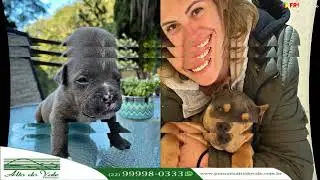 Pousada Alto do Vale