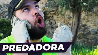 PREDATOR