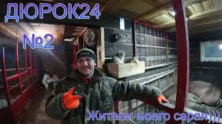 №2 ОБЗОР МОЕГО ХОЗЯЙСТВА