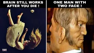 MIND BLOWING FACTS YOU'VE NEVER HEARD BEFORE | TOT#131 | TIPS O TIPS