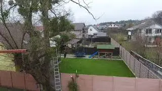 Arborist