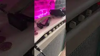 Traynor Guitar mate - AMP TREMOLO