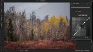 A Sneak Peek at the New Curves Filter Enhancements