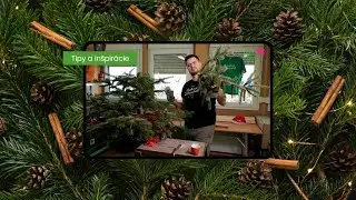 Ako využiť vianočný stromček po sviatkoch? Pozrite si naše zábavné video, inšpirujte sa a vyhrajte!