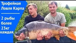 Trophy Fishing Karp [2 carp more than 23kg each]