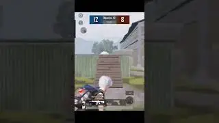 Tigini 