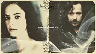 Sirius Black & fem!Harry || The Black family || all the things she said ||