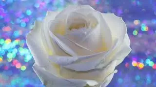 Сень и безопасность это моя семья ! ! ! Стих про семью читают дети