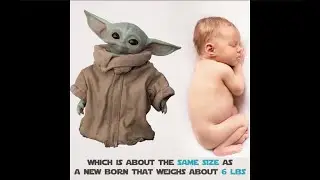 What Diapers Does Baby Yoda Wear?