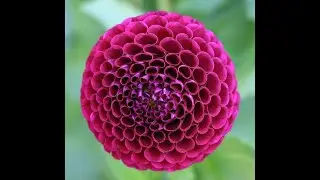 Category Theory For Beginners: Monads