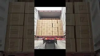Monofilament Yarn