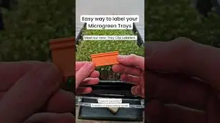 Introducing Our New Tray Clip Labelers 🌱✨️ | Upgrade Your Microgreen Growing! 🎉 