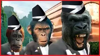 Kingdom of the Planet of the Apes - Coffin Dance Song COVER