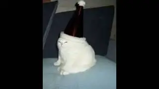 cat part 3