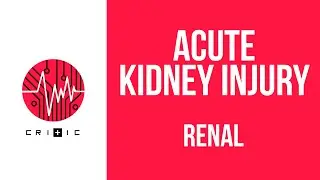 Renal causes of kidney failure - the Acute Kidney Injury series