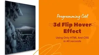 CSS 3d Flip Card Hover Effects 