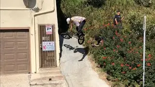 quality entertainment