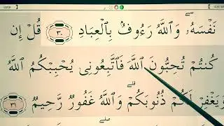 Quran for Beginners Lesson 136 - Surah Ali 'Imran (ayah 31)