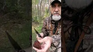 Строчки или сморчки?