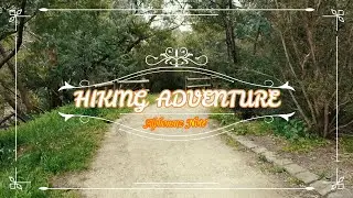 [Hiking] Merri Creek Trail part 2 - Vlog during lockdown