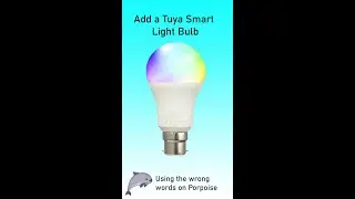 Setup a Wifi Tuya Bulb in the Tuya app and Home assistant