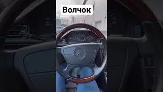 Продается ВОЛЧОК
