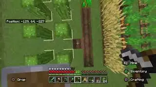 random minecraft streaming