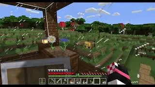 When You Accidentally Make The Minecraft Bees Sad