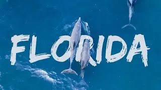 Flying Over Florida | DJI Air 3 Cinematic Drone Video