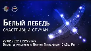 ✨Белый лебедь, Счастливый случай. РЕШЕНИЕ ПАРАДОКСОВ 22.02.2022 в 