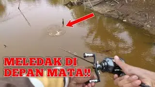 Mengejutkan Sambaran Ikan Besar Didepan Mata Reel Sampai Menjerit. #irolyfishingteam  #daidopredator