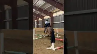 Last lesson of spring session got to ride Maggie! #horsejumping #equestrian #canter #horseriding