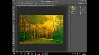 selective color in photoshop cc