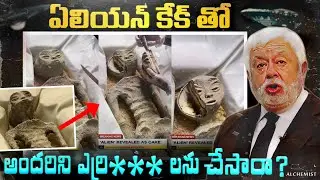 Finally MEXICAN ALIEN HAS BEEN REVEALED AS CAKE? TELUGU ALCHEMIST