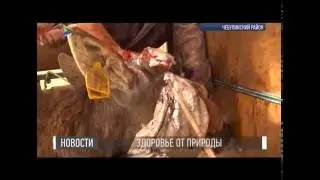 Новости / 26.05.2016 / Здоровье от природы
